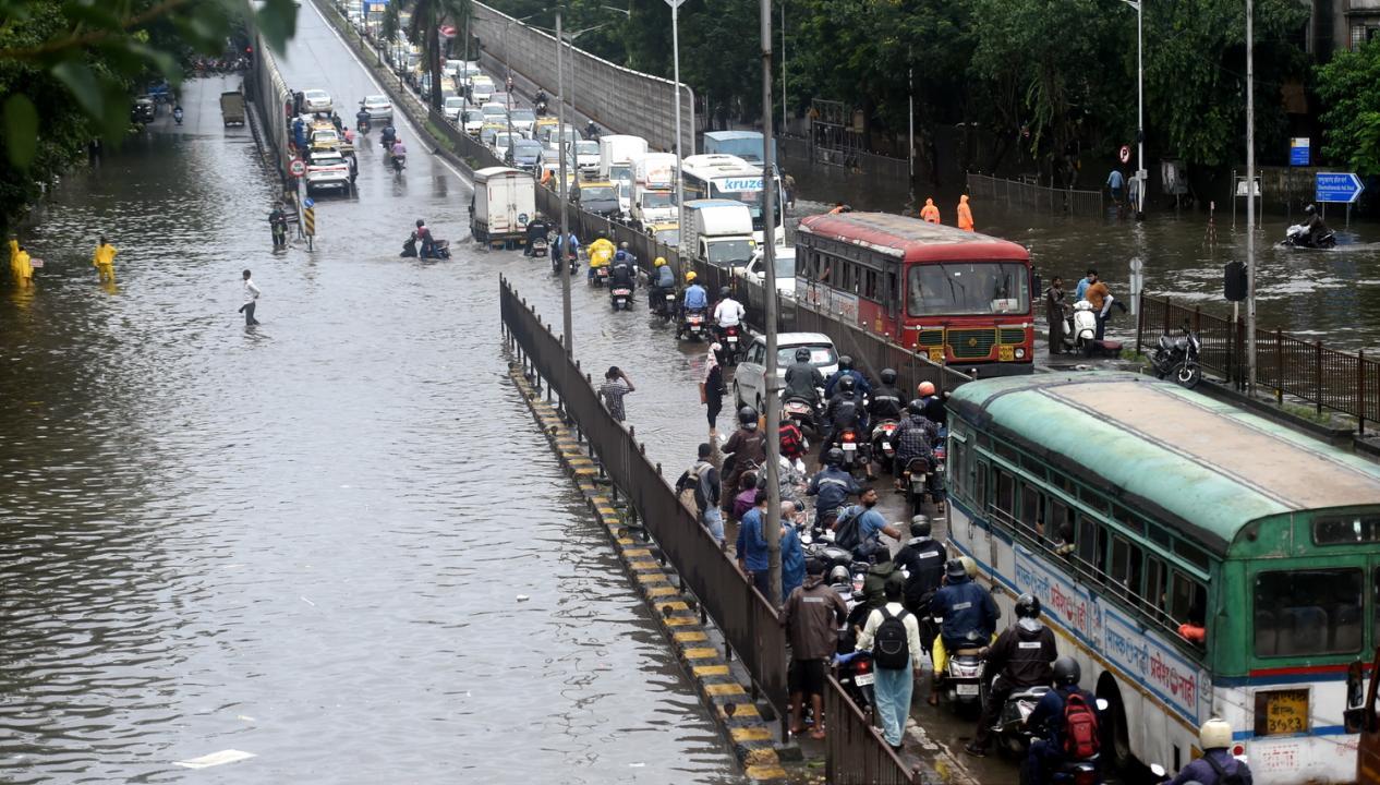 Rains pick up again in Mumbai; local train services affected